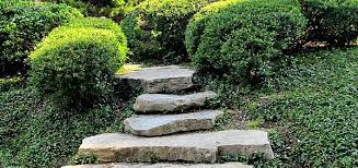 Use as a groundcover to control weeds. 11 Best Plants For Covering Slopes And Hillsides Greenwood Nursery