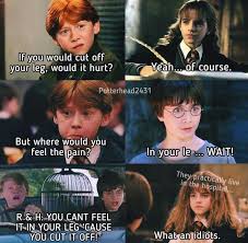 What else can we say about famous harry potter, the boy, who became the one for the children all. Harry Potter Memes Ladies And Gentlemen 4panelcringe