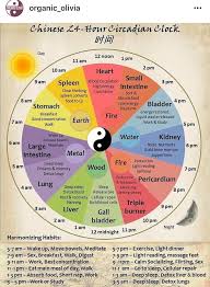 Chinese Medicine Circadian Rhythm Schedule Traditional