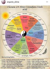 chinese medicine circadian rhythm schedule traditional