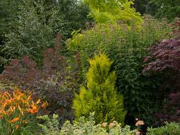 Maybe you would like to learn more about one of these? Narrow Trees For Tight Garden Spaces