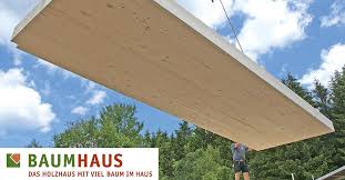 Holzhaus Kaufen Kosten Preise Brunthaler Massivholzhaus