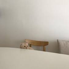 animals おしゃれまとめの人気アイデア pinterest nani インテリア バー おしゃれな壁紙背景 壁紙 綺麗