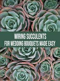 Start your succulents in an area that gets full shade and gradually move them into an area with more sunlight. Wiring Succulents For Wedding Bouquets Made Easy Wedding Bouquets Diy Wedding Flowers Succulents