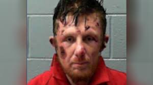 Man who shot at Charleston Police officer sentenced