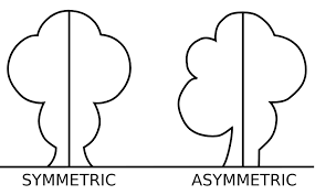 Check spelling or type a new query. Symmetry Wikipedia