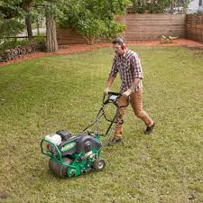 When you prepare for overseeding, cut your warm season lawn as short as possible and remove all lawn debris. How To Fix A Weedy Patchy Lawn The Family Handyman