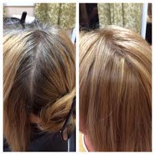 Before And After Grey Coverage Paul Mitchell N9 N 9 And Syncro Lift Highlights Grey Hair Coverage Gray Coverage Hair Color Hair Color Tutorial