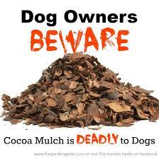 Cocoa Mulch Can Be Toxic To Pets Do Be Careful With This Product Even If You Don T Own A Dog Mulch Dog Care Tips Cat Plants