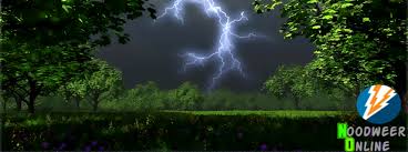 Onweer, stortregens en een fraaie rolwolk waargenomen. Noodweer Online Home Facebook