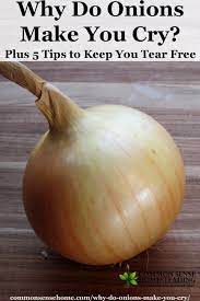 Why Do Onions Make You Cry? Plus 5 Tips To Keep You Tear Free
