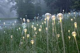 Bruce Munro S Gorgeous Fields Of Led Flowers Bloom At Longwood Gardens Led Flower Atlanta Botanical Garden Landscape Lighting Design