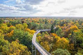 Wer jemals einen fuß auf das verwunschene gelände der beelitzer heilstätten gesetzt hat, weiß um den zauber dieser anlage. See Beelitz Heilstatten Baum Zeit Reviews Same Place Review Of Baumkronenpfad Beelitz Germany Tripadvisor