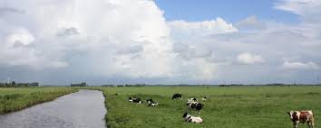 Desmond king, the owner of the chieftain, said. Wesermarsch De Interreg Vb North Sea Region Programme