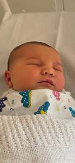 Utahraptor born! So cute as a baby!