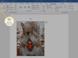 ✓ free for commercial use ✓ high quality images. How To Remove Image Fill Or Backgrounds In Microsoft Word