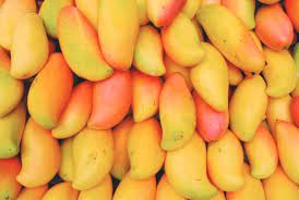 Blow the roof of the night in the vodou room, located at second floor of mango's. Mango Lovers Have To Wait Longer Season To Delay This Time Mango Mango Season Delayed Mango Cultivation