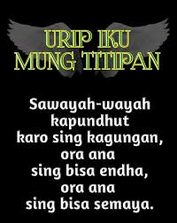 Sign In Kata Kata Motivasi Kutipan Lucu Kutipan Kata Bijak