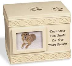 Read real reviews and see ratings for cincinnati pet cremation services near you to help you pick the right pro pet cremation service. Amazon Com Angelstar 5 Inch Pet Urn For Dog 49555 Home Kitchen