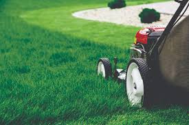 That is why you should follow the below guidelines when creating a lawn mowing schedule: To Mow Or Not To Mow And How Low Should You Go Instant Turf Coolabah