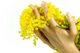 Risultati immagini per VESTITA DI MIMOSE