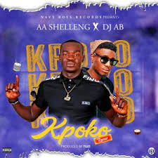 Download Music Mp3 Video Aa Shelleng Ft Dj Ab Kpoko Remix 9jaflaver
