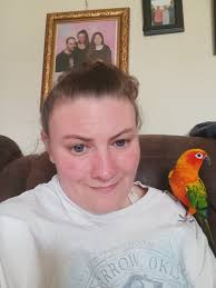 This little guy is wandering