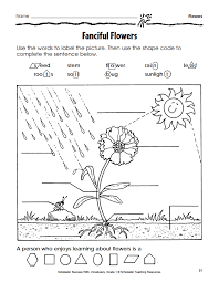Are You Ready For Spring Tomorrow Marks The First Day Of The New Season Use This Printable To Show Your Science Printables Kindergarten Science Plant Science