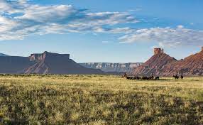 Maybe you would like to learn more about one of these? Where Is Westworld Filmed Westworld Filming Location Visit Utah