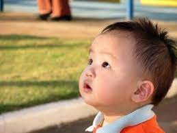Ada banyak istilah cina untuk kakek dan nenek, dan bervariasi dari satu daerah ke daerah lain. 76 Nama Bayi Laki Laki Cina Tionghoa Pilihan Bayilelakiku Com Nama Bayi Laki Laki Dan Artinya Islami Kristen Modern