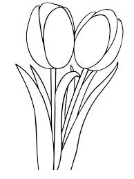 Plenty beautiful flower drawings to color and have fun. Beautiful Tulip Coloring Pages Collection Pdf Free Coloring Sheets Tulip Drawing Flower Coloring Pages Drawing Tulips