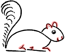 Begin with drawing 3 circles, two medium and a small one. How To Draw Cartoon Squirrels With Simple Step By Step Drawing Lesson How To Draw Step By Step Drawing Tutorials