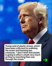 I wanna buy both paper and plastic straws in bulk. Anyone here?