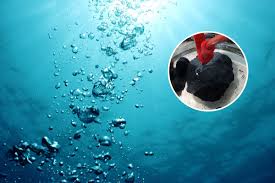 Groundbreaking' Dark Oxygen Discovery May See History of Life Revised -  Newsweek