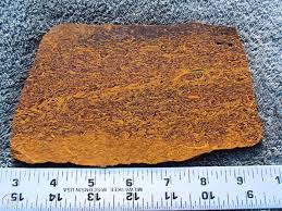Coquina Jasper Slab 9 76 Oz Script Stone Cobra Elephant Skin Mariam Slab 0874 1807183508