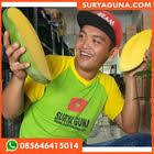 Senam dasar 1 sampai 25. 9 Gerakan Senam Psht Ideas Karate Kata Karate Moves Shotokan Karate