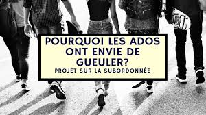 Ils peuvent avoir des causes diverses, physiques et psychologiques. Pourquoi Les Ados Ont Envie De Gueuler La Bibliomaniaque