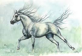 Bueno amigos es una pagina más de imágenes para dibujar pueden aportar imágenes y si desean. Imagenes Arte Pinturas Caballos En Movimiento Dibujos Acuarelas