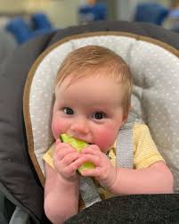 Radicle Roots Farm (@radiclerootsfarm) • Instagram photos and videos