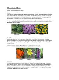 We did not find results for: Different Kinds Of Plants Plants Habitat