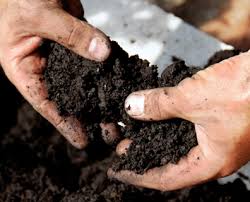 Maybe you would like to learn more about one of these? How To Make Good Garden Soil A Step By Step Guide Davey Blog
