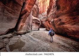 The sunlight reacts with buckskin gulch like nowhere else on the planet. Buckskin Gulch Paria Canyonvermilion Cliffs Wilderness Stock Photo Edit Now 94624876
