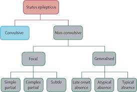 Image result for Status Epilepticus