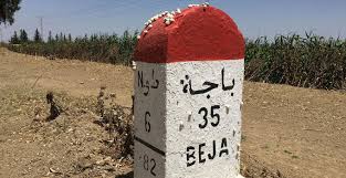 Check spelling or type a new query. Nawaat Languages In The Public Space 25 Years Of Political Instrumentalization