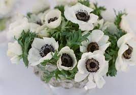 Maybe you would like to learn more about one of these? 15 In Season May Flowers For Your Spring Wedding