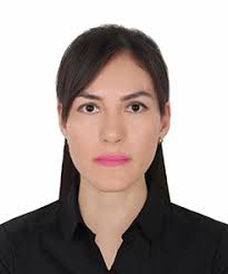 Sistema Nacional para el Desarrollo Integral de la Familia