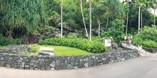 Image result for Haig Green 1929 Dodge