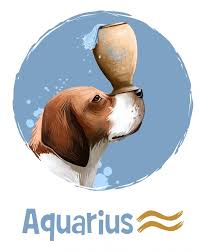 Pin By Jean Day On Zodiac 112 Dogs Dog Chinese Zodiac Aquarius Art Zodiac Signs