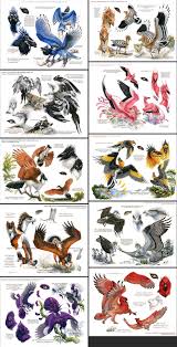 Julian Commissions Isabelle To Document Griffin Variations Mythical Creatures Art Creature Drawings Creature Concept Art