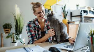 National pet day is an unofficial holiday, which is celebrated annually all over the united states on april 11th. H6uvhplnm Uajm